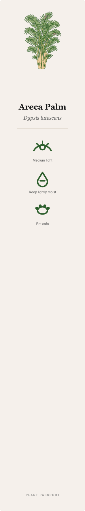 Voorbeeld van de Plant Passport-kaart voor Arecapalm